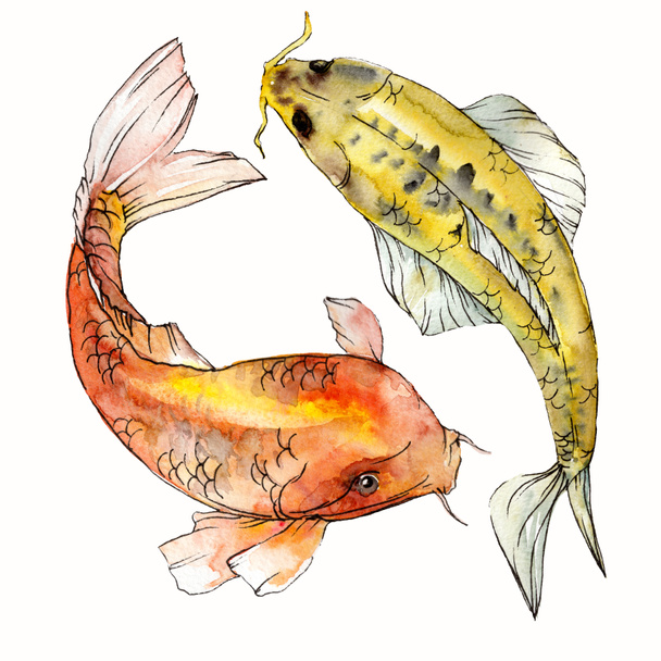Watercolor aquatic underwater colorful tropical fish set. Red sea and exotic fishes inside: Goldfish. Aquarelle elements for background, texture. Isolated goldenfish illustration element. - Foto, Bild