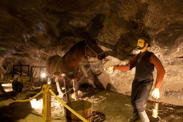 Miniera di sale di Wieliczka
 - Foto, immagini