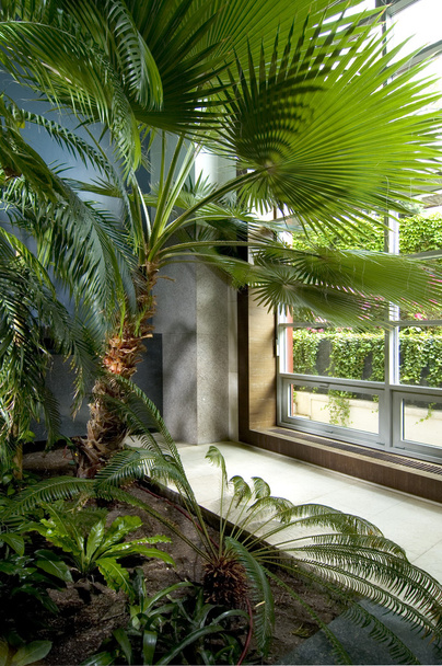 現代の豪華な熱帯家の庭 - 写真・画像