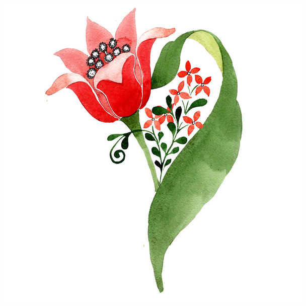 Red floral botanical flower. Wild spring leaf wildflower isolated. Watercolor background illustration set. Watercolour drawing fashion aquarelle isolated. Isolated ornament illustration element. - Photo, image