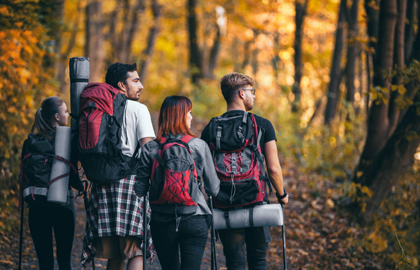 Friends with backpacks trekking in nature, walking through the woods, back view - Foto, afbeelding