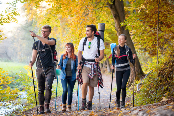 riends with backpacks trekking in nature, walking through the woods - Photo, Image
