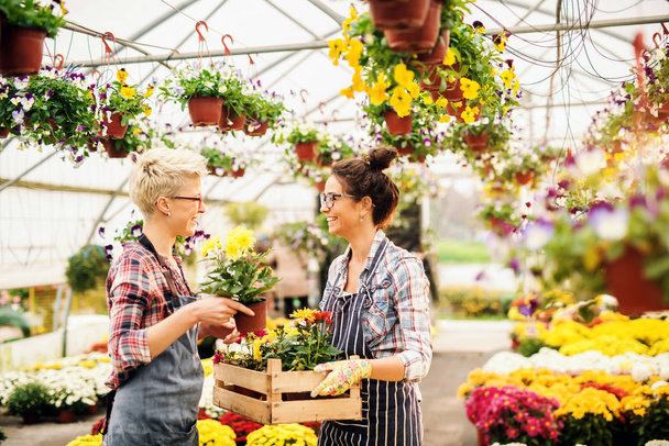 Dos floristas femeninas caucásicas sonrientes trabajando en invernadero
. - Foto, imagen