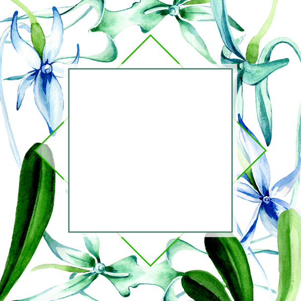 Kék ritka orchidea. Virágos botanikai virág. Vad tavaszi levél vadvirág elszigetelt. Akvarell háttér illusztráció készlet. Akvarell rajz divat aquarelle elszigetelt. Test határ Dísz tér. - Fotó, kép