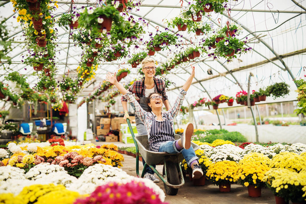 Dos floristas divirtiéndose en invernadero. Una mujer empujando a otra en carretilla. Todo alrededor de flores en maceta
. - Foto, Imagen