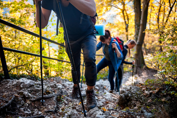 Travelers while trekking with backpacks climbs steep on forest trail - Photo, Image