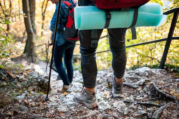 Travelers while trekking with backpacks on rocky forest trail - Valokuva, kuva