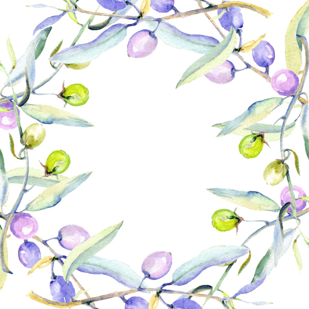 Olives watercolor background illustration set. Frame border ornament with copy space. - Photo, Image