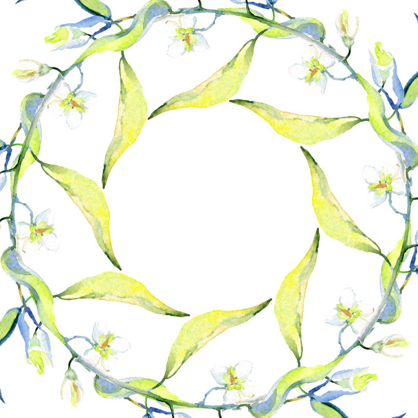 Olives watercolor background illustration set. Frame border ornament with copy space. - Valokuva, kuva