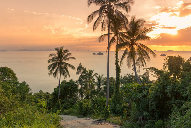 Brilliant ocean beach Colorful sunrise with palm trees coconut palm tree silhouette at Koh Samui, Thailand - Zdjęcie, obraz