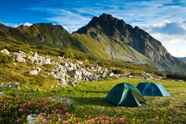 Two green tents in the mountains - Photo, Image