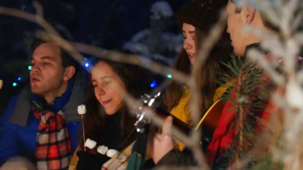 Grupa przyjaciół w zimowym lesie dobrą zabawę. Siedzi w pobliżu ognisku. Młody człowiek gra gitara i każdy słucha jego gra - Materiał filmowy, wideo