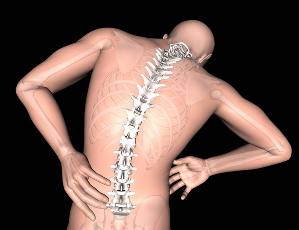 Representación 3D de una figura médica masculina con columna vertebral resaltada - Foto, imagen
