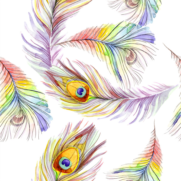Colorful bird feather from wing isolated. Watercolor background illustration set. Watercolour drawing fashion aquarelle isolated. Seamless background pattern. Fabric wallpaper print texture. - Photo, image