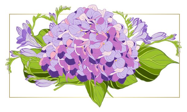 Bouquet of freesia and hydrangea - Vector, Image
