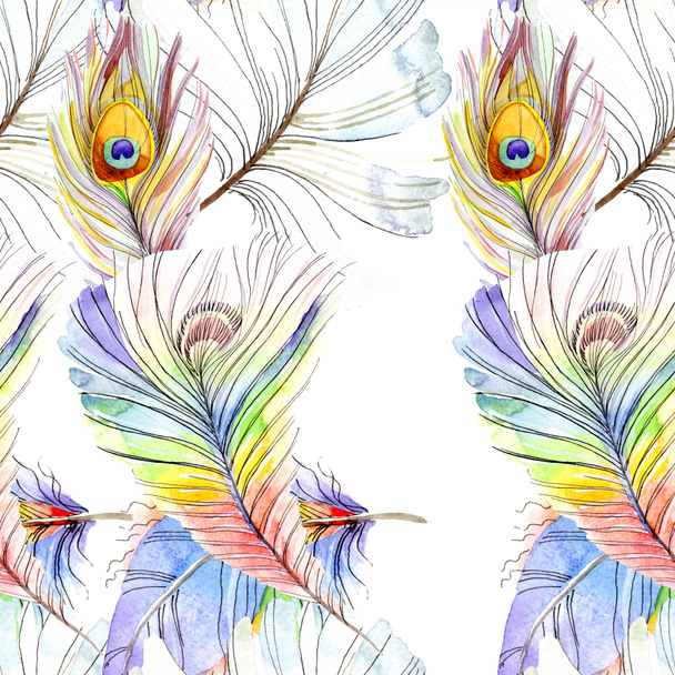 Colorful bird feather from wing isolated. Watercolor background illustration set. Watercolour drawing fashion aquarelle isolated. Seamless background pattern. Fabric wallpaper print texture. - Fotoğraf, Görsel