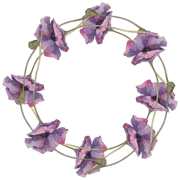 Κόκκινο και μοβ floral βοτανικό λουλούδι παπαρούνας. Άγρια άνοιξη φύλλων απομονωμένη. Ακουαρέλα φόντο εικόνα σύνολο. Ακουαρέλα σχεδίασης μόδας aquarelle απομονωμένη. Πλαίσιο συνόρων στολίδι τετράγωνο. - Φωτογραφία, εικόνα