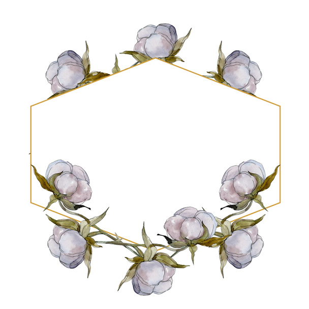 綿の花の水彩イラスト セット コピーの領域でフレーム枠飾り ロイヤリティフリー写真 画像素材