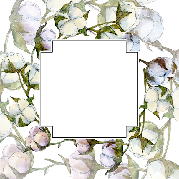 Cotton floral botanical flower. Wild spring leaf wildflower isolated. Watercolor background illustration set. Watercolour drawing fashion aquarelle isolated. Frame border ornament square. - Фото, изображение