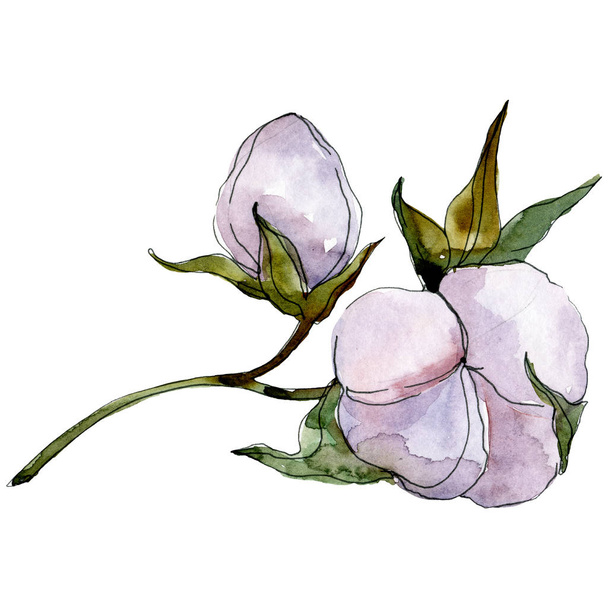 Purple cotton isolated on white. Watercolor background illustration set. - Photo, Image