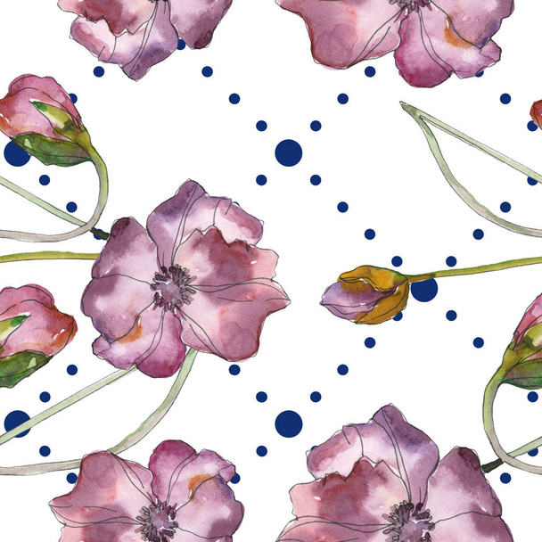 赤と紫ケシ花植物の花 野生春葉が分離されました 水彩イラスト セット 水彩描画 Aquarelle シームレスな背景パターン 壁紙印刷手触りの生地 ロイヤリティフリー写真 画像素材