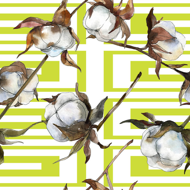 Cotton floral botanical flower. Watercolor background illustration set. Watercolour drawing fashion aquarelle isolated. Seamless background pattern. Fabric wallpaper print texture. - Fotoğraf, Görsel