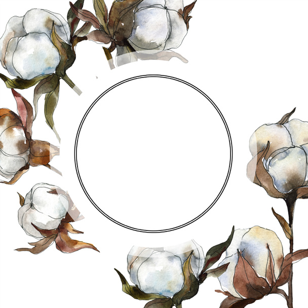 Cotton floral botanical flower. Watercolor background illustration set. Watercolour drawing fashion aquarelle isolated. Frame border ornament square. - Fotó, kép