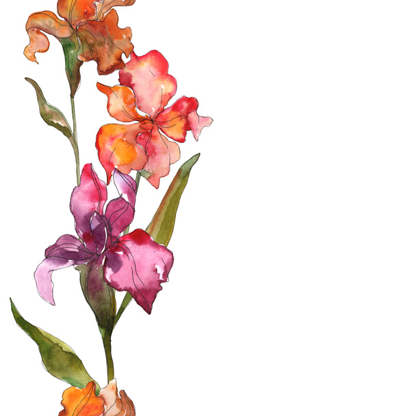 赤と紫の花の植物花。野生春葉のワイルドフラワーが分離されました。水彩画背景イラスト セット。水彩描画のファッション aquarelle 分離します。フレーム枠飾りスクエア. - 写真・画像