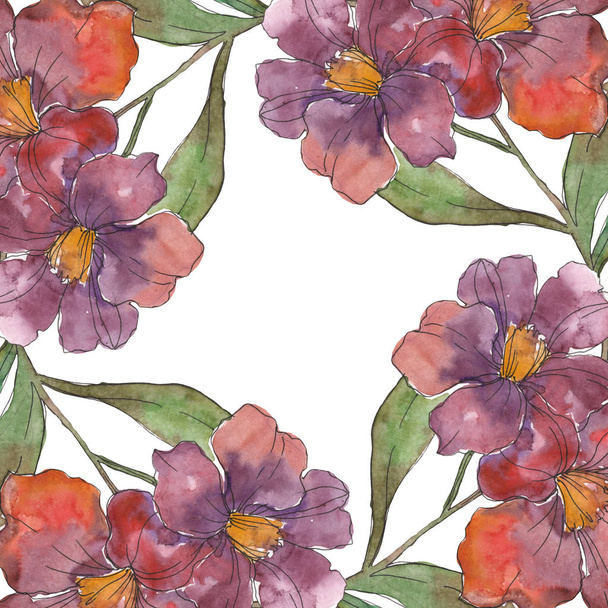 Red and purple camellia flowers. Watercolor background illustration set. Frame border ornament with copy space. - Foto, immagini