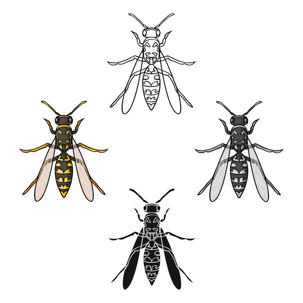 Wasp pictogram in cartoon stijl geïsoleerd op een witte achtergrond. Insecten symbool voorraad vectorillustratie. - Vector, afbeelding