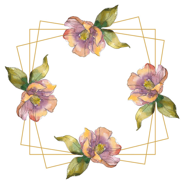 Απομονωμένη camellia πορτοκαλί και μοβ λουλούδια με πράσινα λουλούδια. Σετ ακουαρέλας εικονογράφηση. Πλαίσιο συνόρων πλατεία στολίδι με αντίγραφο χώρου. - Φωτογραφία, εικόνα