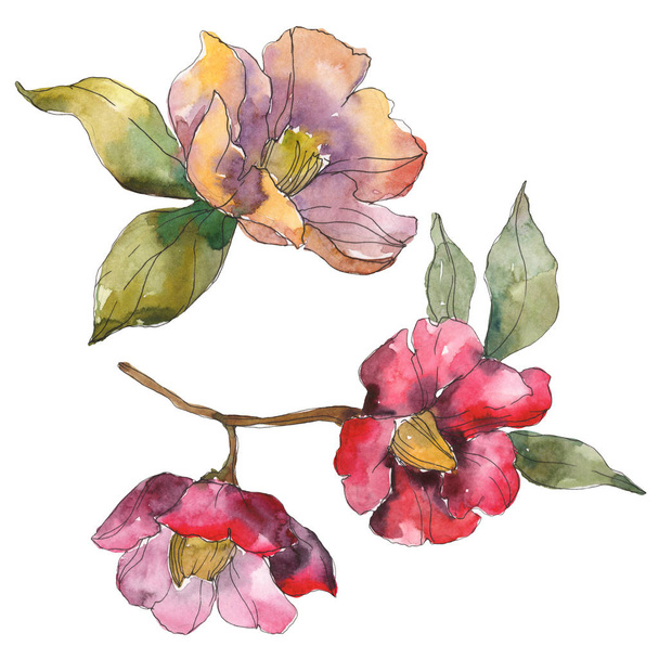 Isolated orange and red camellia flowers with green leaves. Watercolor illustration set.  - Photo, Image