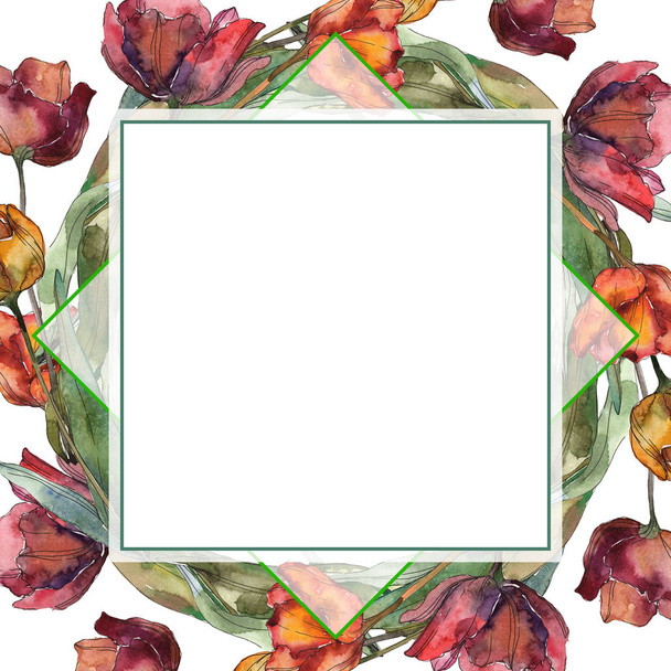 Burgundy and red isolated poppies with leaves. Watercolor illustration set. Frame border ornament with copy space. - 写真・画像