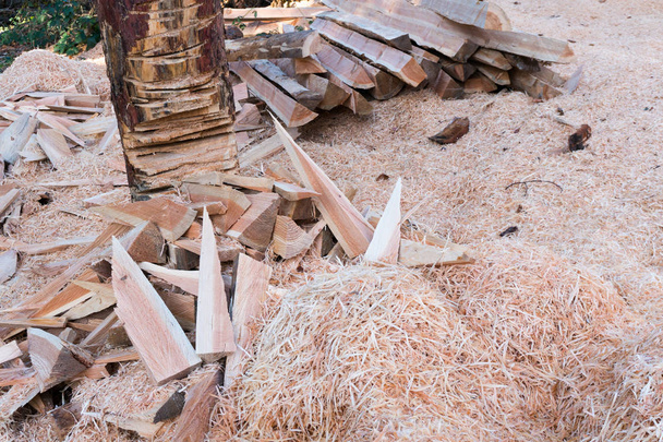 plaats voor het snijden en hakken van hout outoors met stukken hout, houtspaanders en Logboeken - Foto, afbeelding