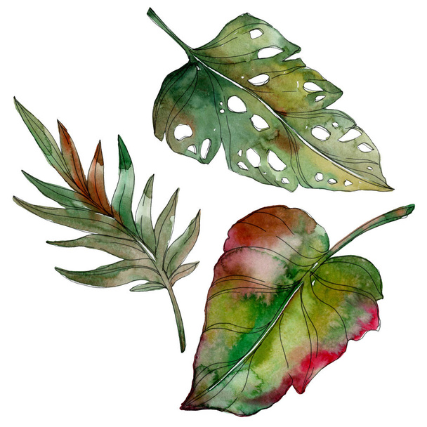 Exotic tropical isolated green palm leaves. Watercolor illustration set.  - Φωτογραφία, εικόνα