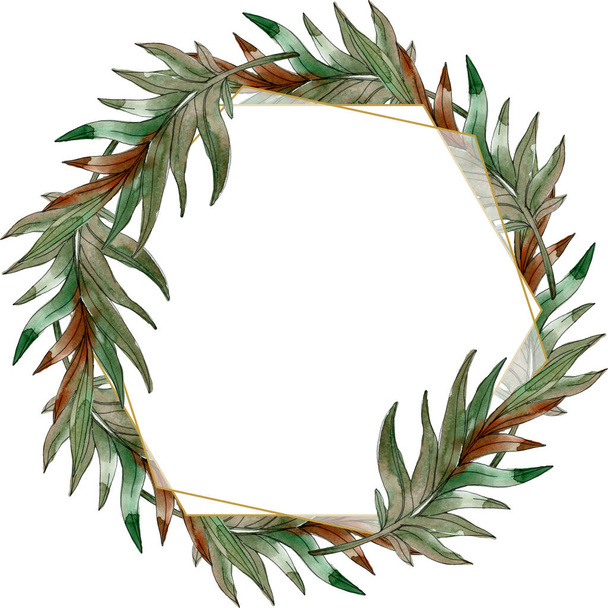 Exotic tropical green palm leaves round frame with copy space. Watercolor illustration background.  - 写真・画像