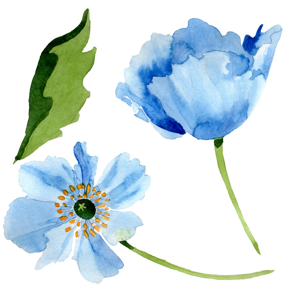 Blue poppies with leaf watercolor illustration with isolated on white - Foto, imagen