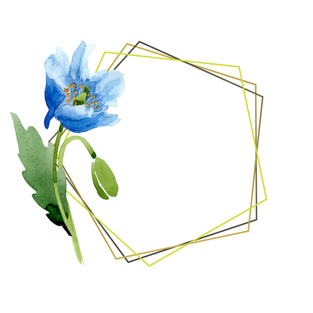 Blue poppy watercolor illustration with geometric frame. - 写真・画像