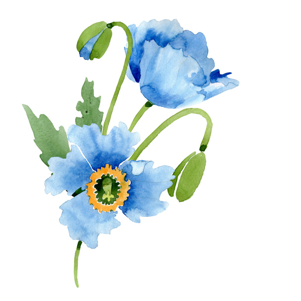 Blue poppies, leaves and buds isolated on white. Watercolor illustration set.  - Photo, Image