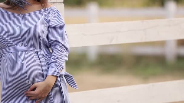 Όμορφη έγκυος γυναίκα σε κοντινή μπλε φόρεμα ακούσετε στο αγρόκτημα. Πλεκτή τσάντα με μπουκέτο από λουλούδια. Ιστορικό δέντρο και τα βουνά. Αργή κίνηση. - Πλάνα, βίντεο