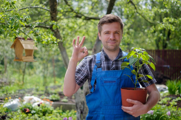 Young caucasian farmer man holding organic plants and showing ok sign. Bio vegetables garden - Photo, Image