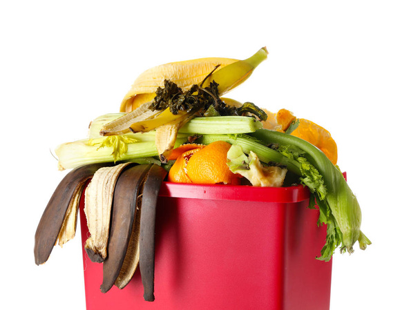 Trash bin with organic wastes on white background. Recycling concept - Photo, Image