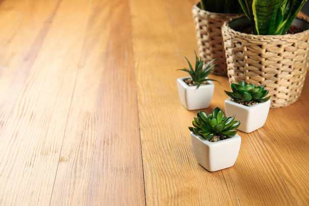 Pots avec succulents sur table en bois
 - Photo, image