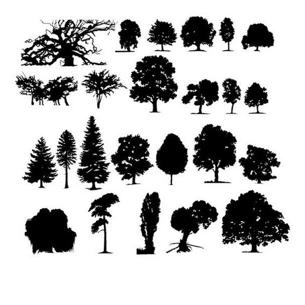 Ensemble de différents arbres - Vecteur, image