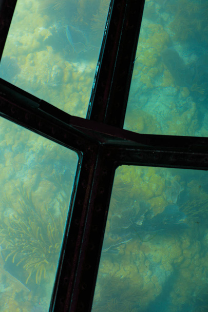 Vidro fundo passeio de barco recife subaquático
 - Foto, Imagem