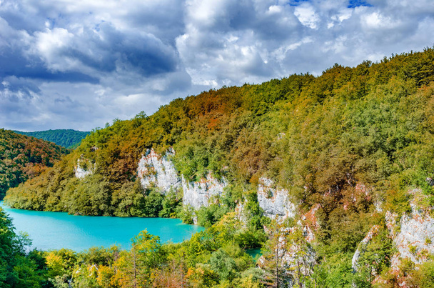 Jezera a vodopády uprostřed hustého lesa. - Fotografie, Obrázek