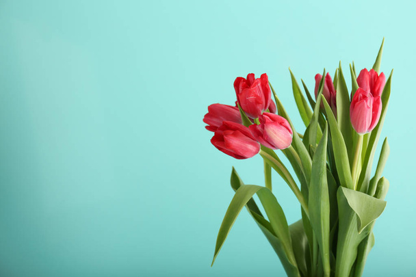 色の背景に美しいチューリップの花束 - 写真・画像
