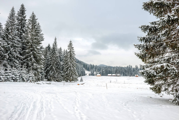 засніжені дерева і маленькі високогірні будинки на відстані - красиві зимові пейзажі
 - Фото, зображення