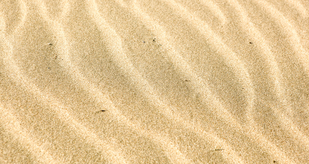 Sabbia sfondo texture stock foto
 - Foto, immagini