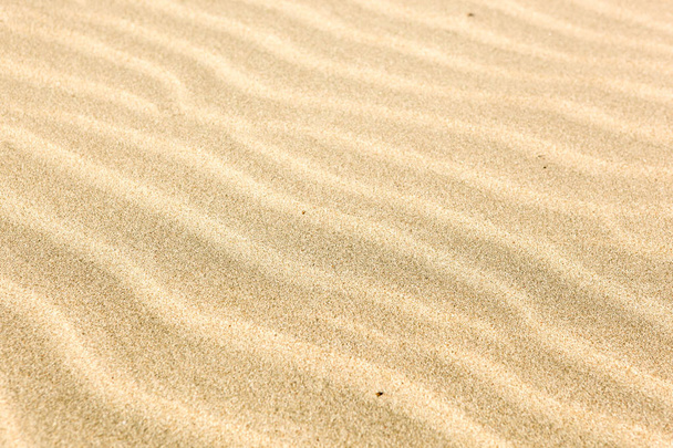 Zdjęcia stockowe tekstura tło piasek - Zdjęcie, obraz
